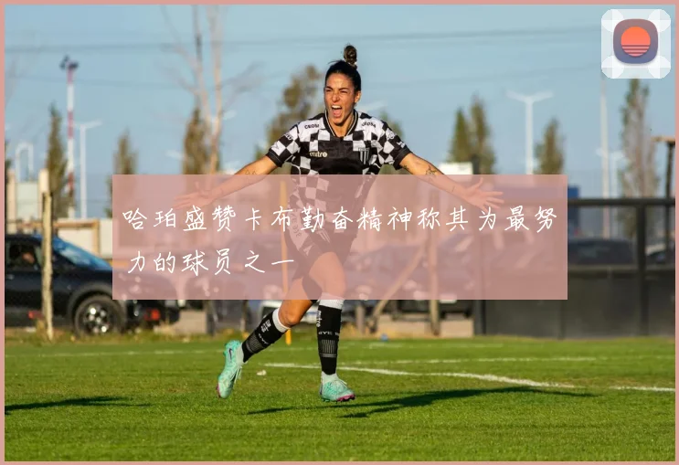 哈珀盛赞卡布勤奋精神称其为最努力的球员之一